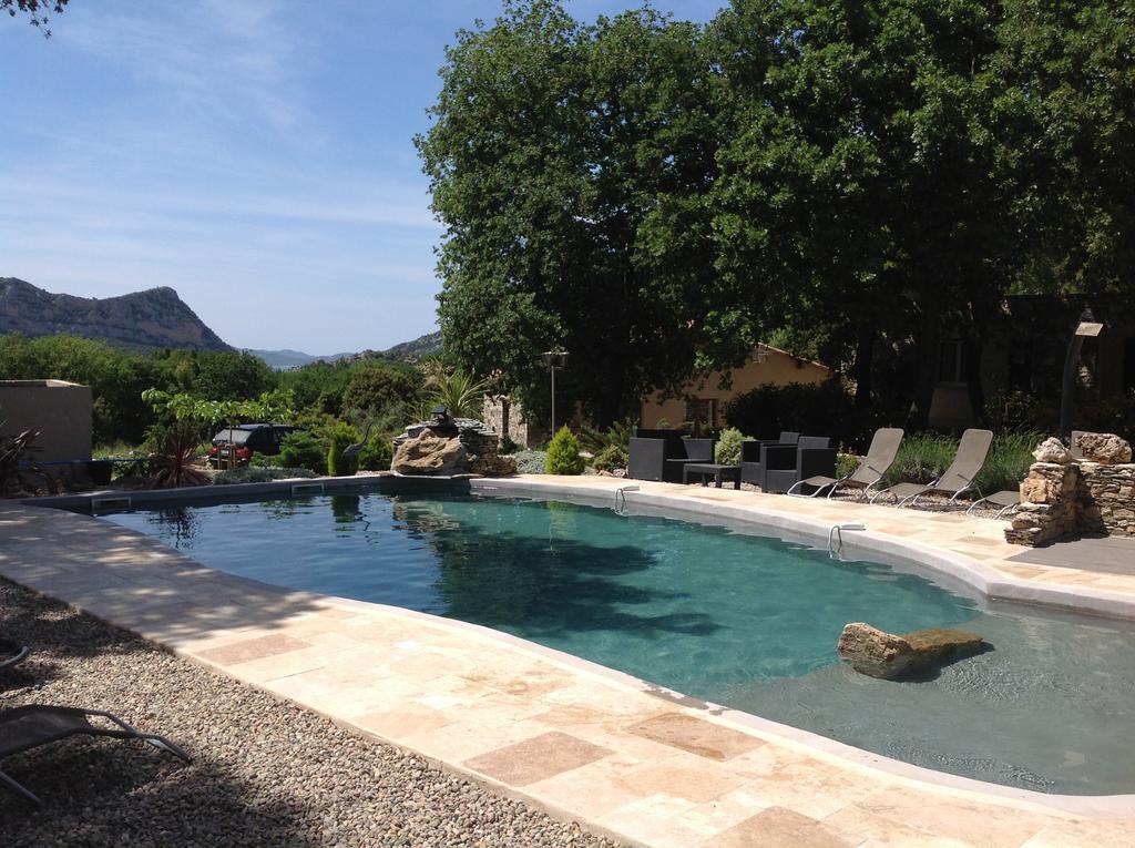 Affittacamere Domaine Casa Andria Barbaggio